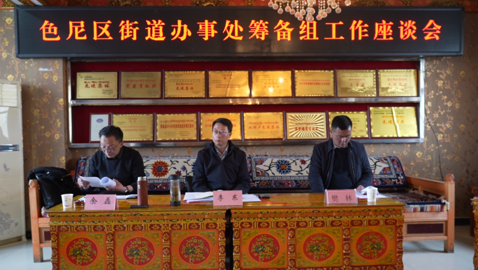 大兴调查研究之风 夯实实干之基—李东一行赴各街道筹备委员会督导调研